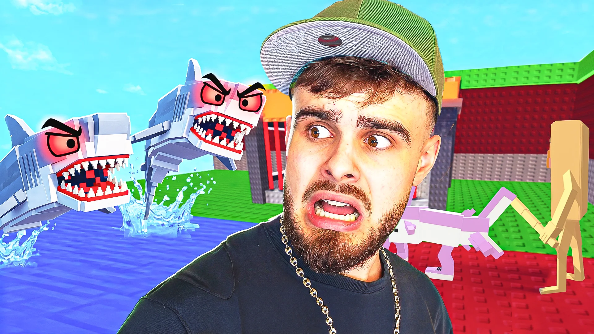 Requin